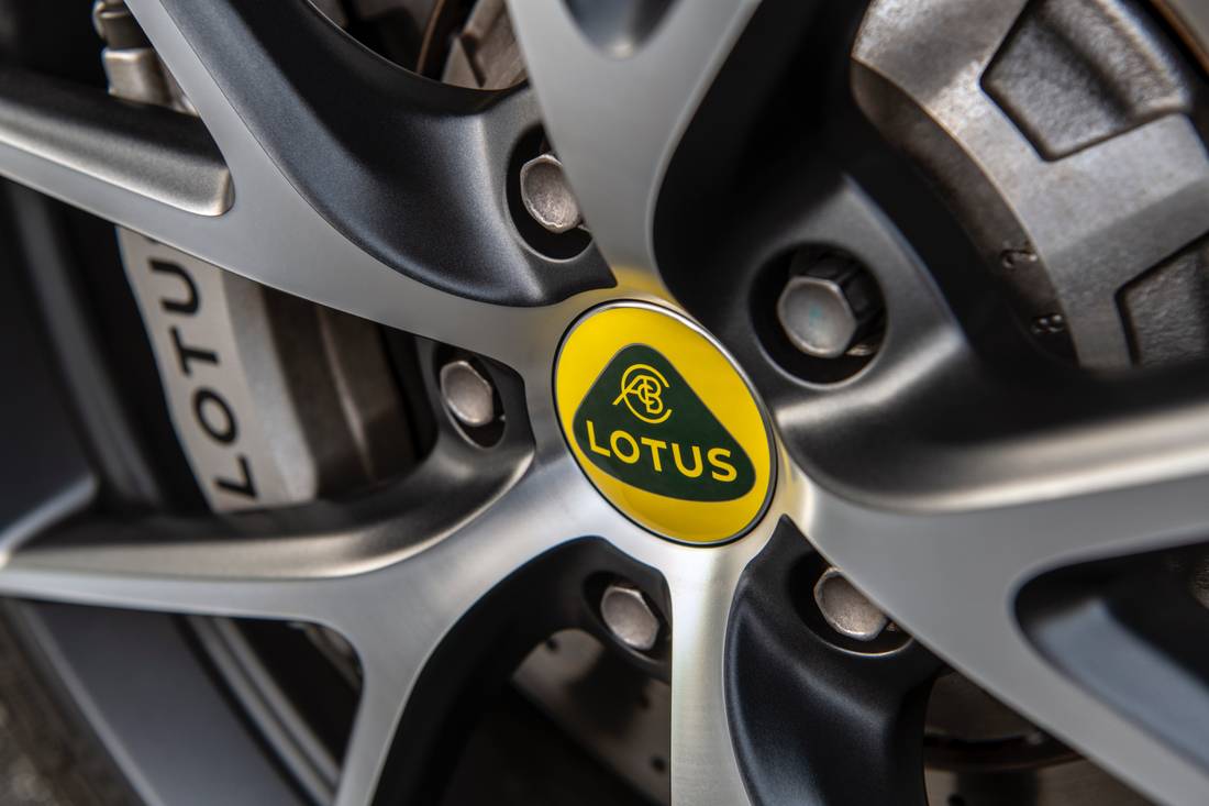 Hoofdfot lotus