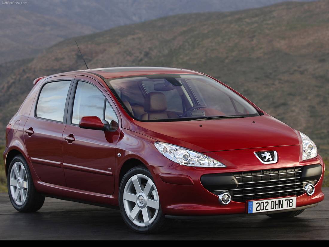 Peugeot-307-2005-1600-07